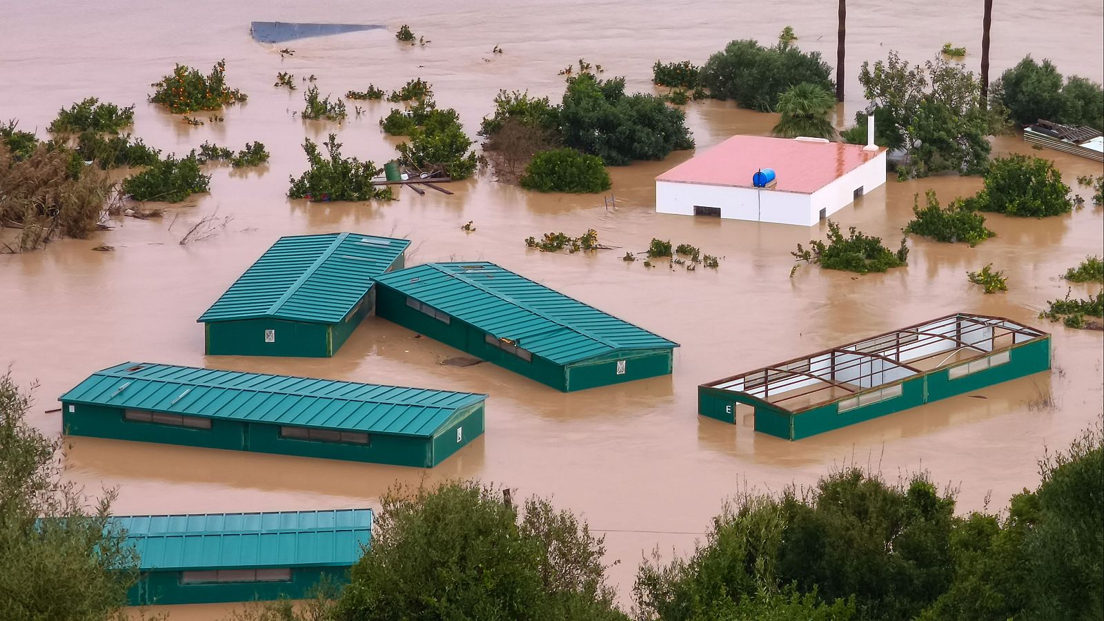 Temporal en Andalucía: 4.000 desalojados y una desaparecida | Ver