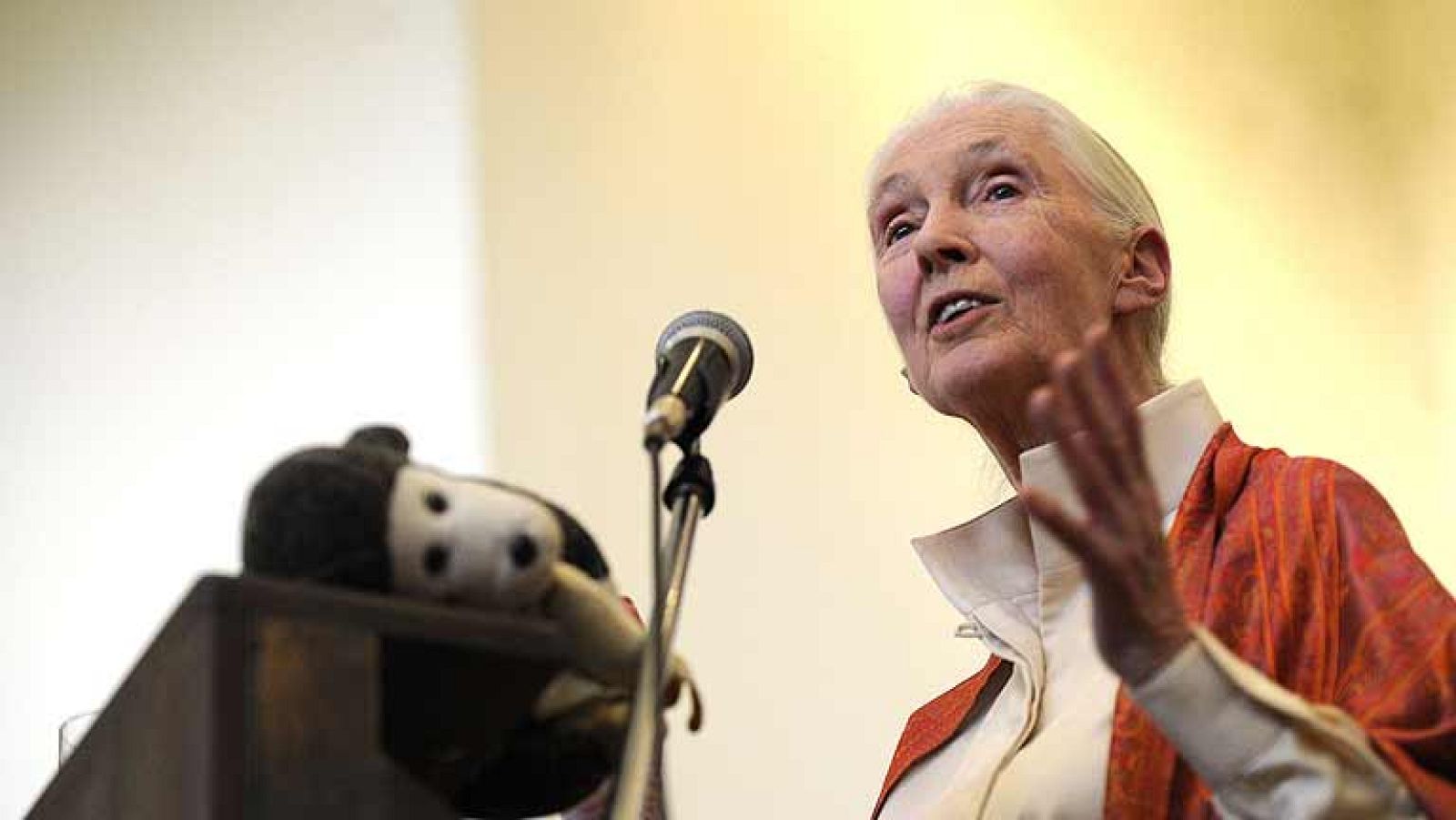 Jane Goodall, la prestigiosa primatóloga, visita España