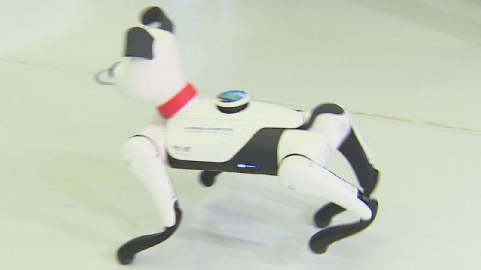 Noticias Aragón 2 - 05/02/26  Ver ahora