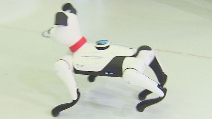 Noticias Aragón - Noticias Aragón 2 - 05/02/26