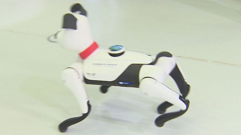 Noticias Aragón 2 - 05/02/26  Ver ahora