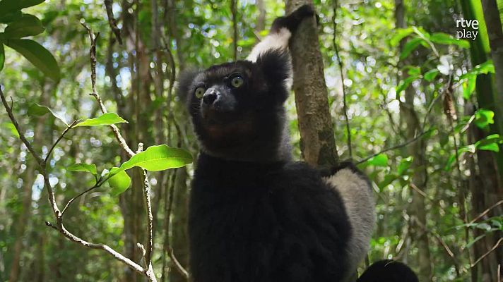 Mindful earth - Respirar