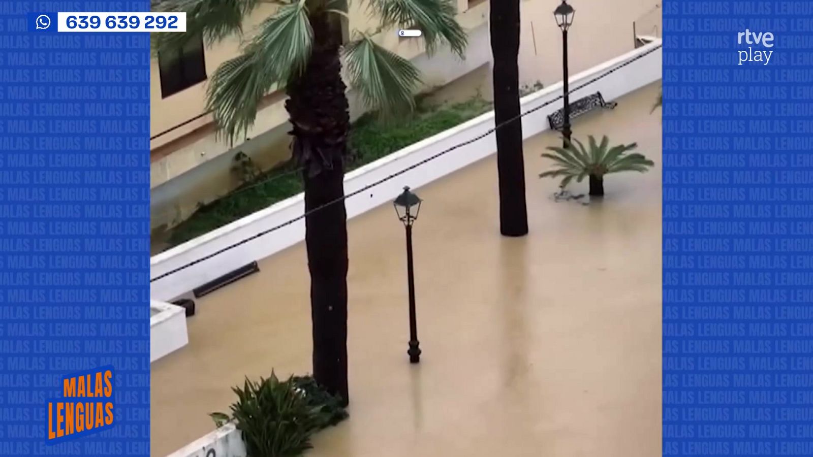 Consecuencias de Leonardo - Malas lenguas | Ver