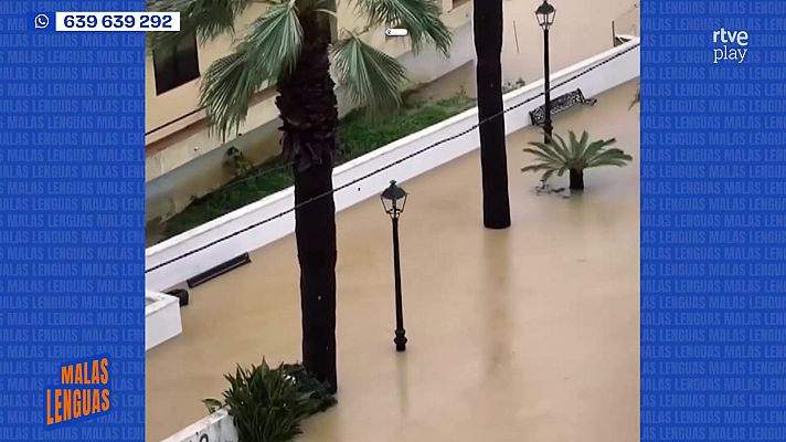 Malas lenguas - Consecuencias de Leonardo