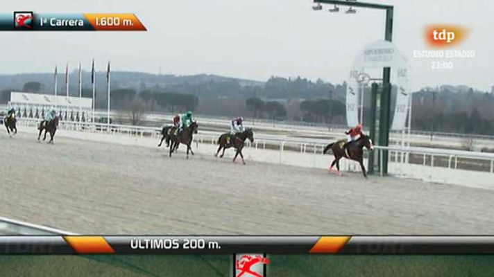 Turf - Turf - 17/02/13