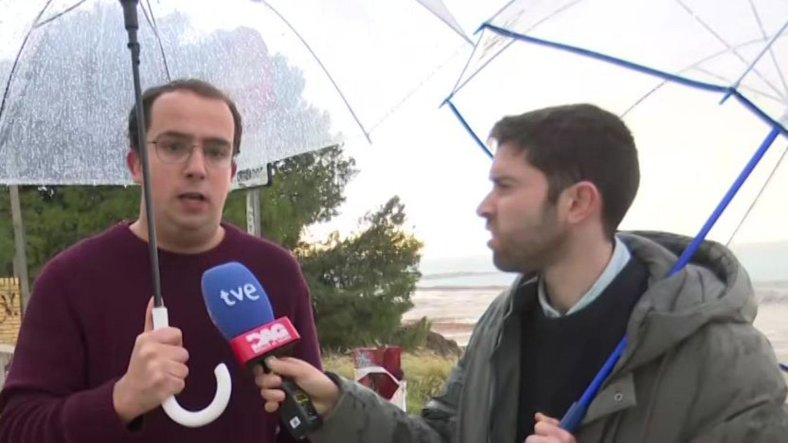 Encuentran excrementos de ratas en una residencia de Alicante - Directo al grano | Ver