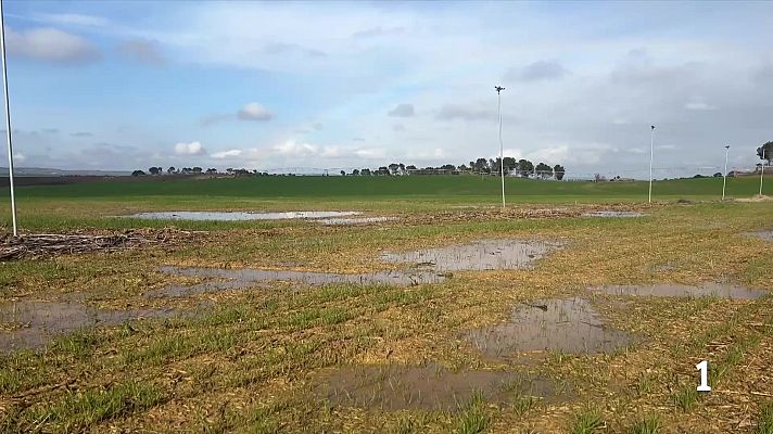 L'Informatiu - Les pluges neguen els camps de cereals de Ponent