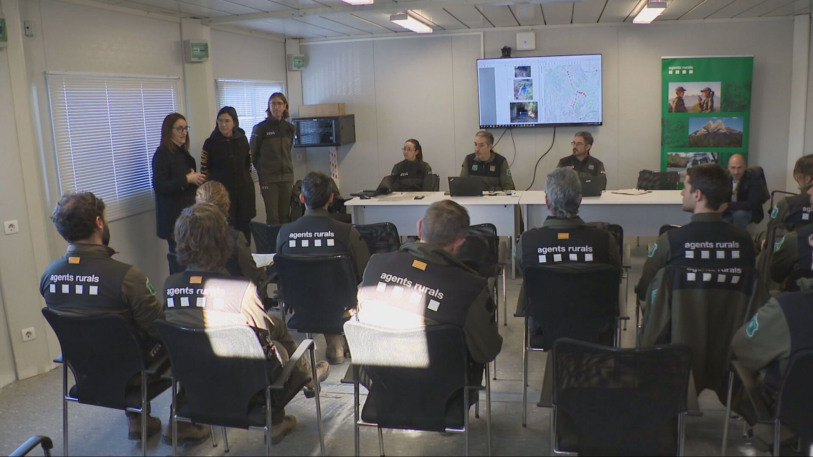 Les tasques de contenció del brot de pesta porcina continuen