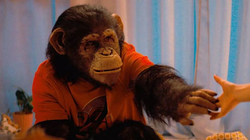 D�as de cine: Primate | Ver