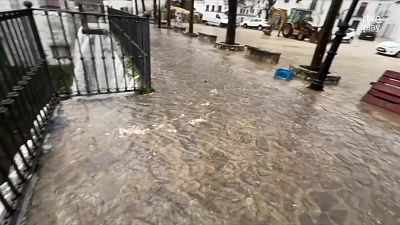 Objetivo Planeta - 06/02/26