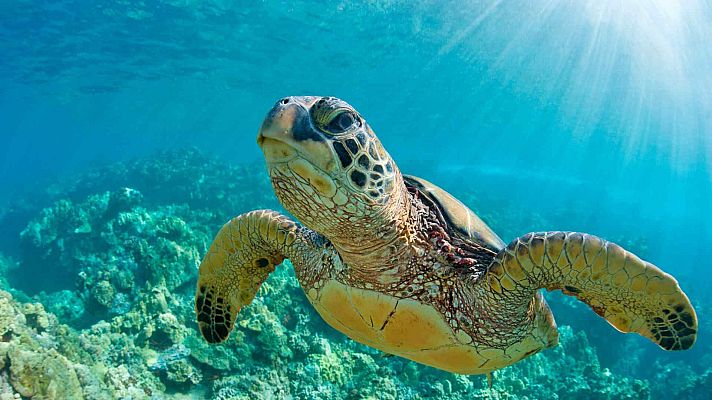 Mindful earth - Cambiar