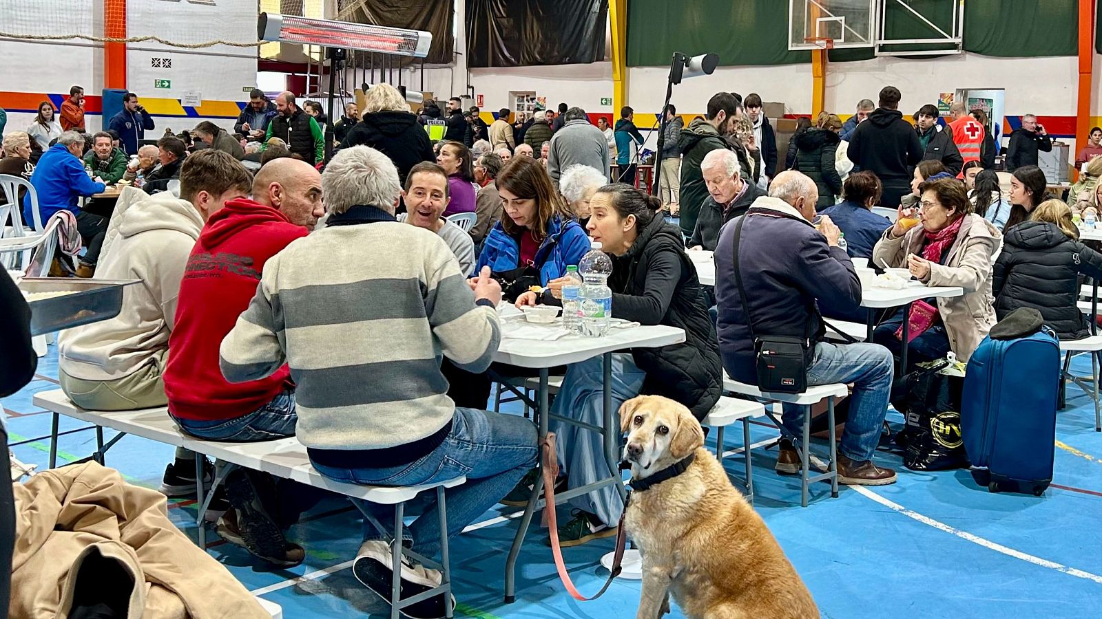 La tarde en 24 horas - 06/02/26 - La tarde en 24h | Ver