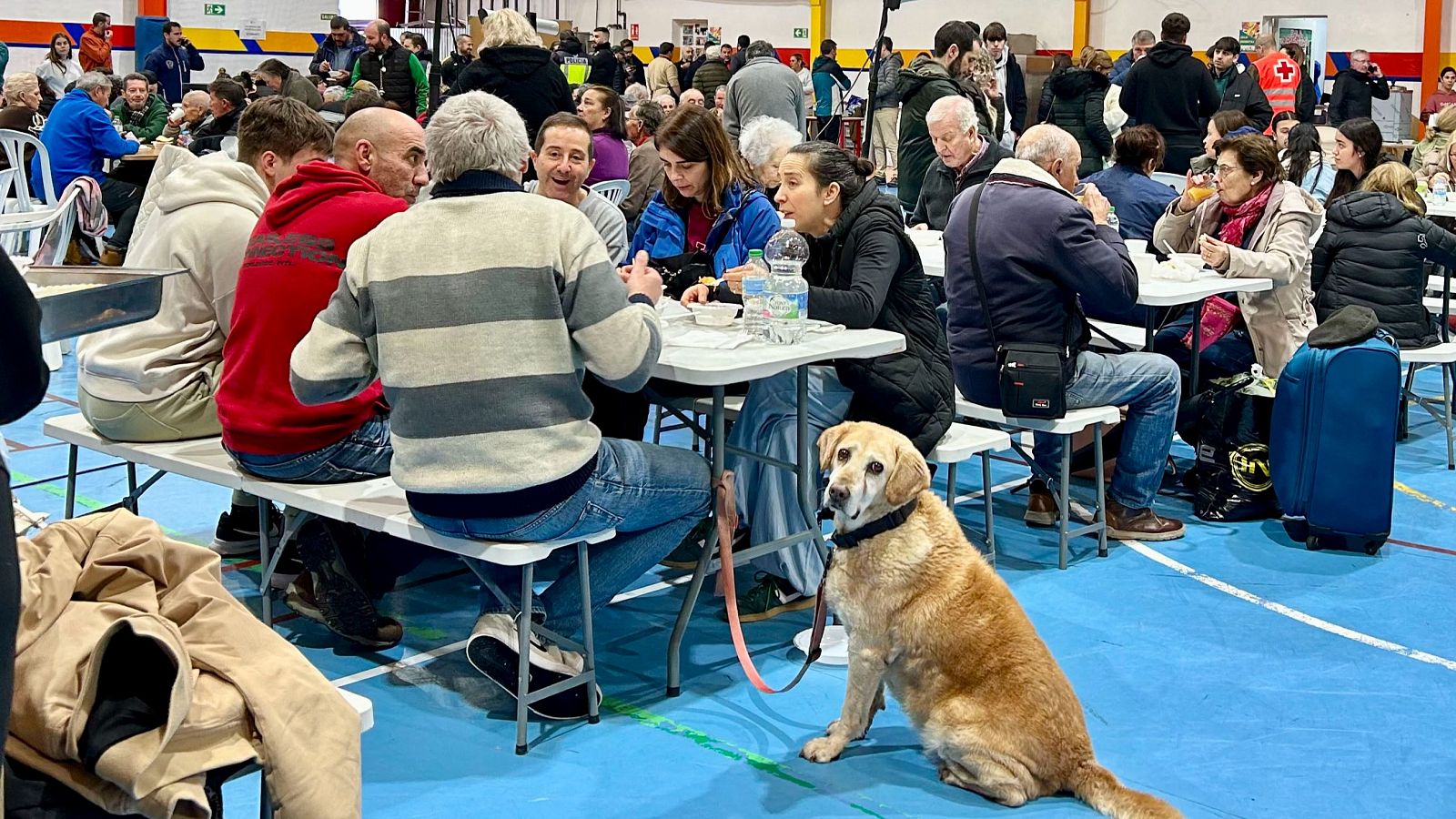 Andalucía se lleva lo peor de la borrasca Leonardo - Telediario 2 | Ver