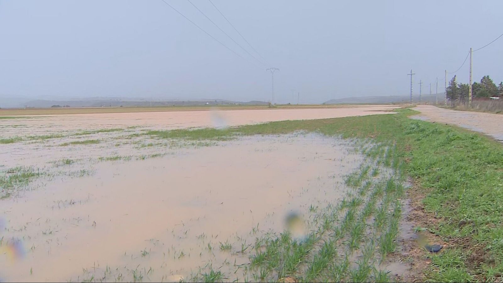 Agrosfera - 07/02/26 - Agrosfera | Ver