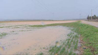 Agrosfera - 07/02/26