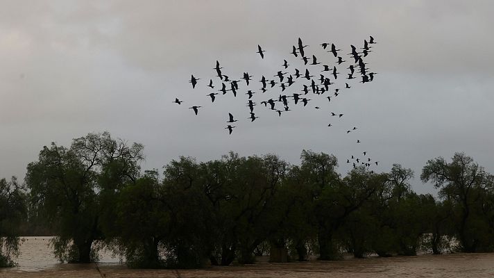 Informativo 24h - Día de transición entre la borrasca Marta y la llegada de nuevos frentes