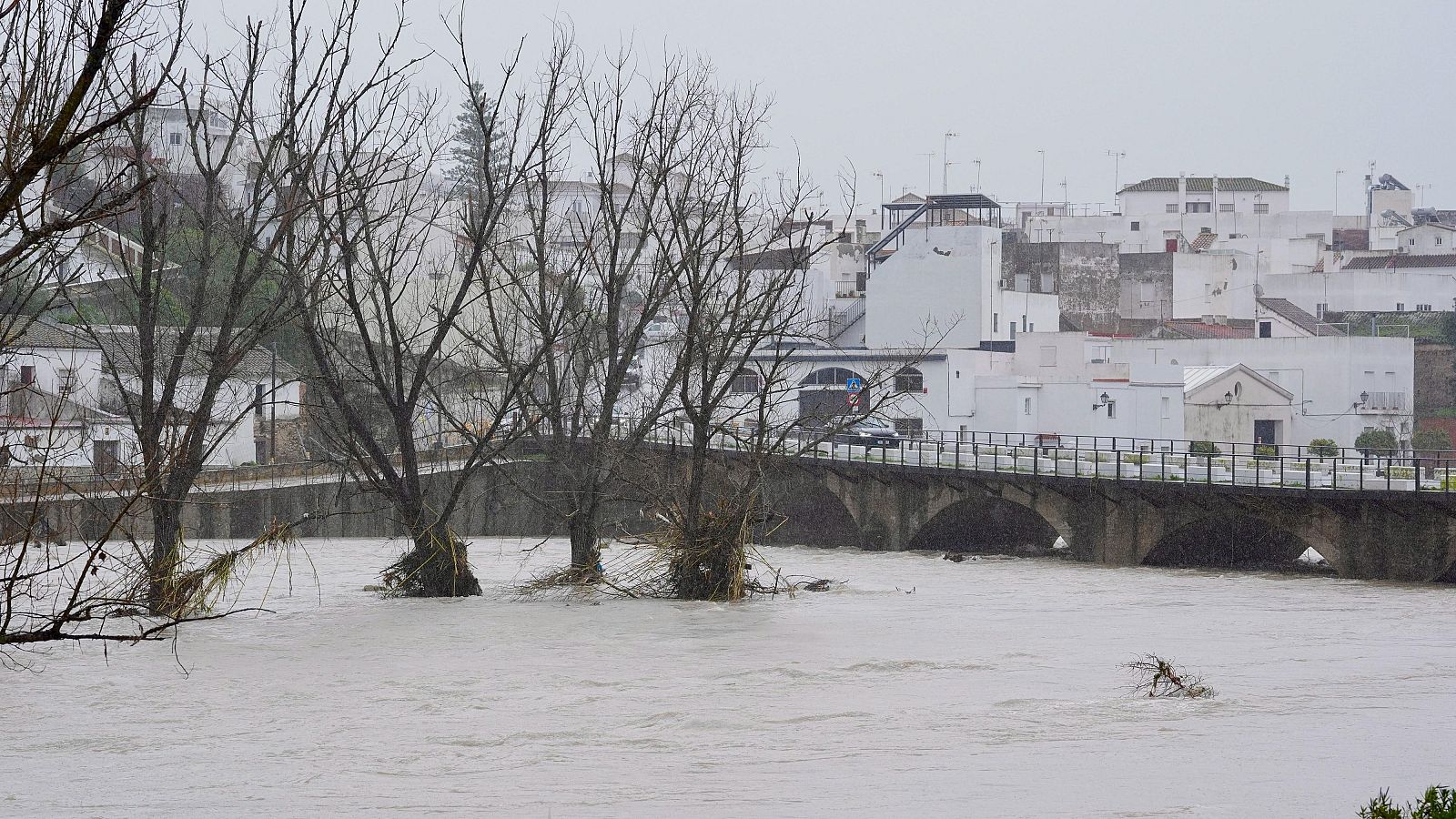 Telediario matinal en cuatro minutos - 08/02/2026 | Ver