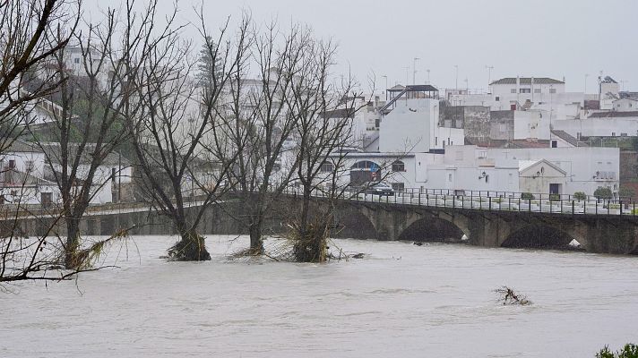 Telediario Matinal - Telediario matinal en 4' - 08/02/2026