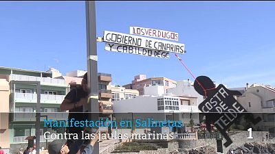 Telecanarias - 08/02/2026