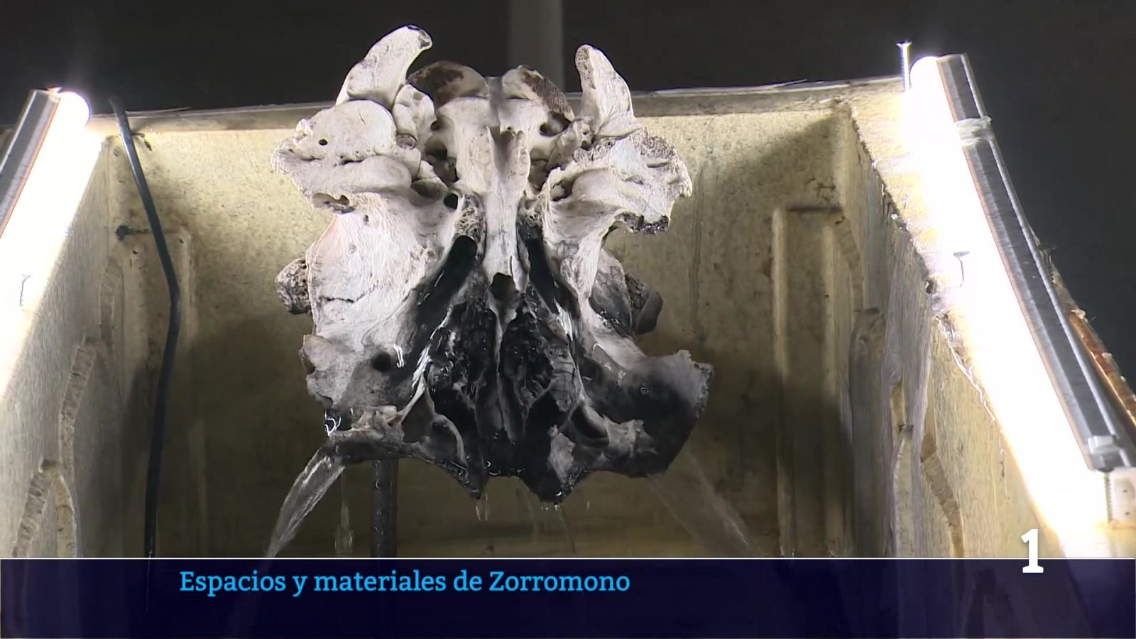 Informativo Telerioja - 09/02/26 - Informativo Telerioja | Ver