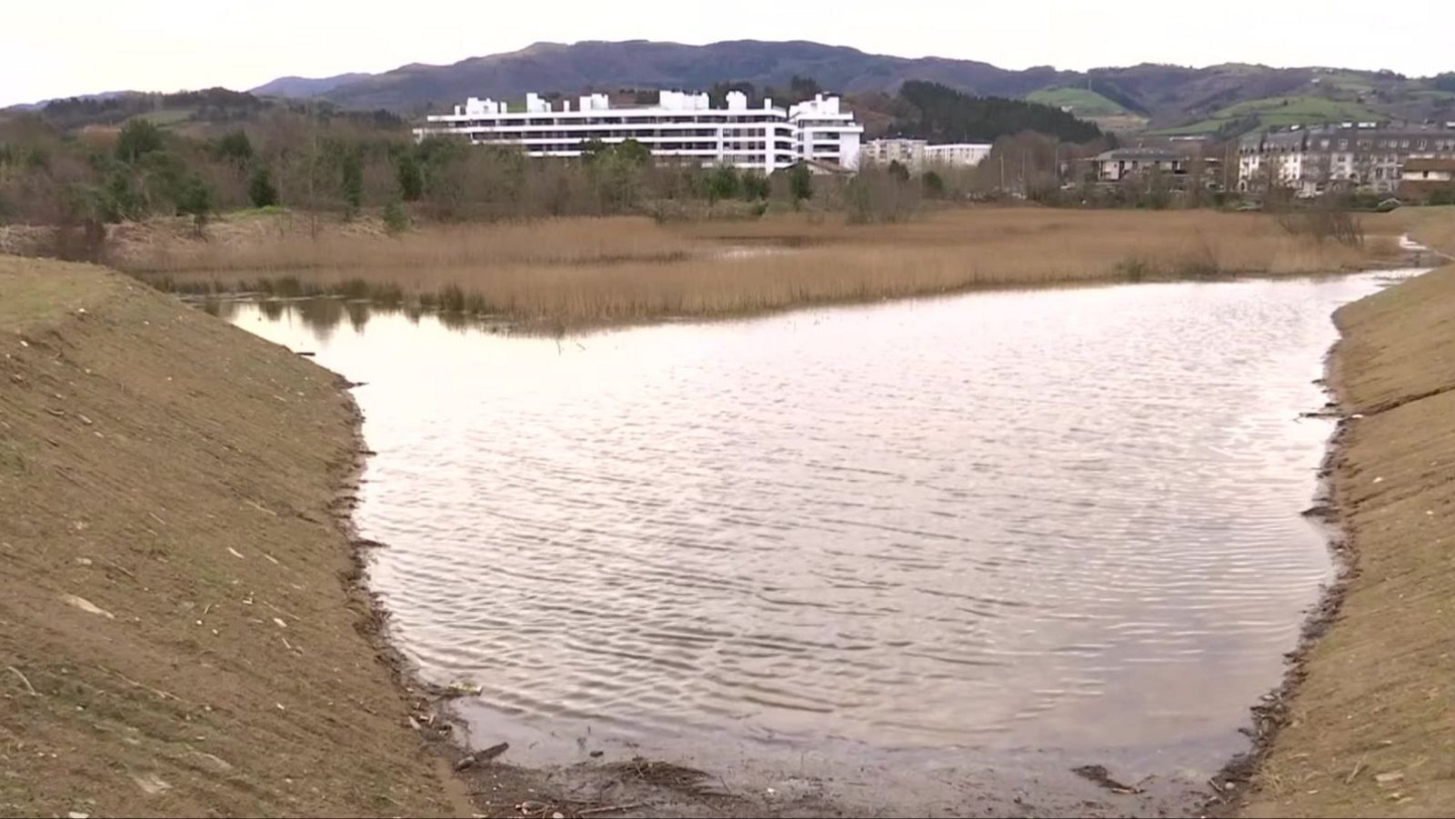 La laguna de Ixpilla (Zarautz) podría albergar aves nunca antes vistas al frenar el acceso de sal al agua | RTVE Play - Ver ahora