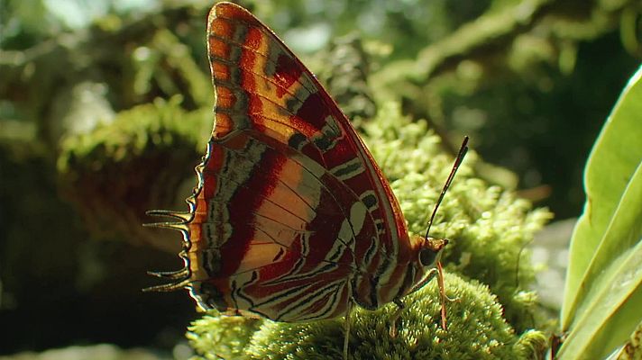 Mindful earth - Disfrutar