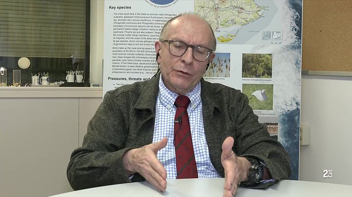 El Vespre - Agustín Sánchez-Arcilla: "La nostra costa es pot protegir fins al 2050, i després ja ho veurem"