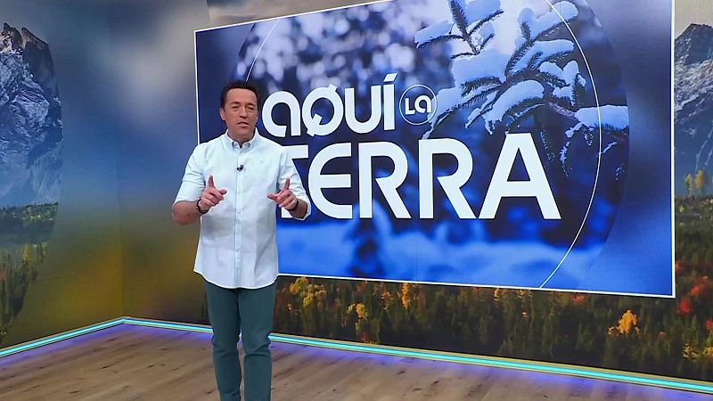 Mercat Manresa, casa rural Marc�s i Can Sales - Aqu� la Terra - Aqu� la Terra | Veure