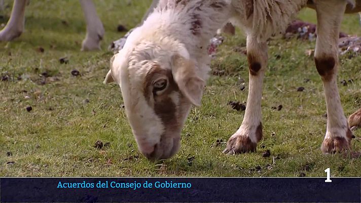 Informativo Telerioja - Informativo Telerioja 2 - 10/02/26