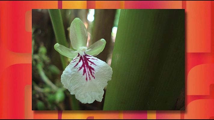 Saber y ganar - Saber y ganar - 10/02/26