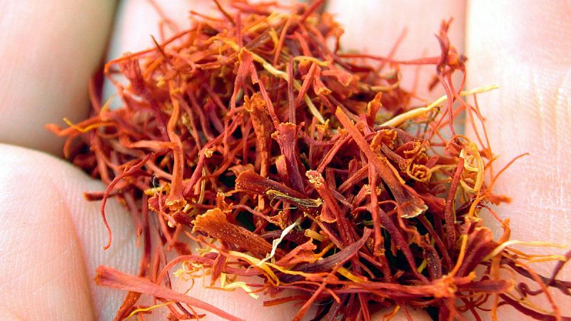 El azafrán, también conocido como oro rojo - Aquí la Tierra | Ver