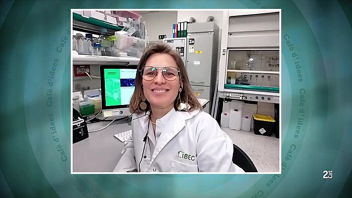 Cafè d'idees - Amayra Hernández-Vega investiga una fase silenciosa de l’Alzheimer