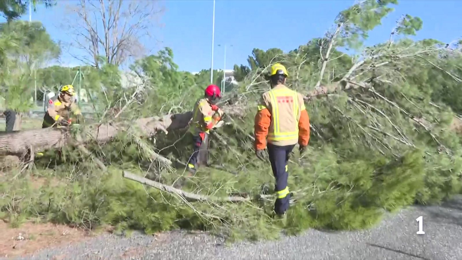 Suspeses les classes i l'activitat sanitària no urgent pel fort vent