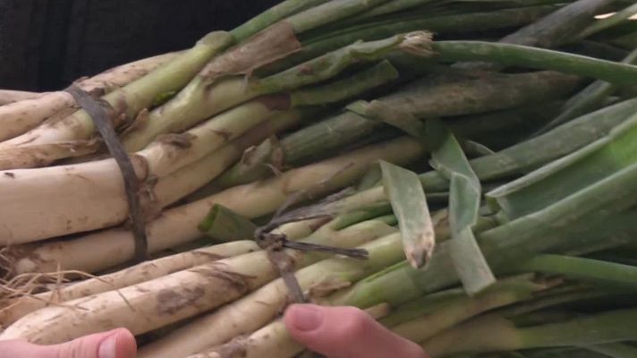 Aquí la Tierra - ¿Cómo se cultivan los calçots?