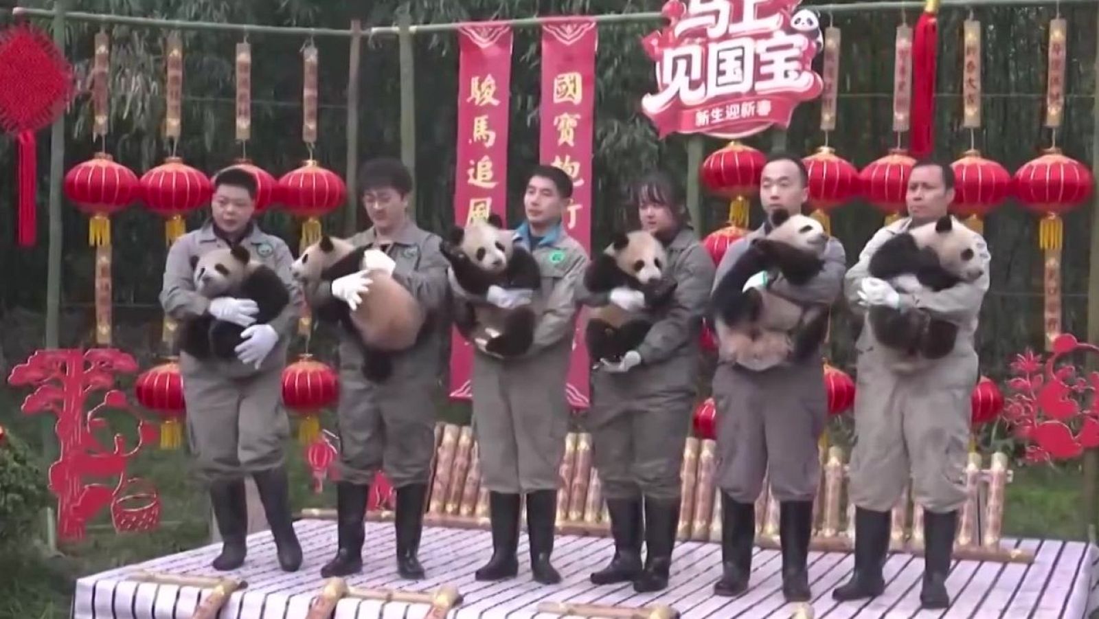 Una guardería de pandas - Aquí la Tierra | Ver