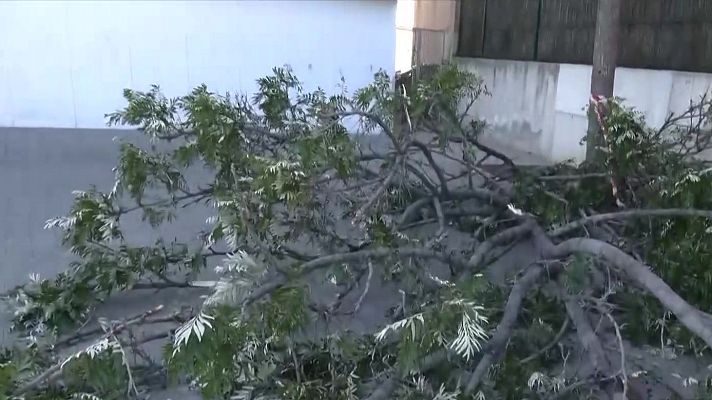 L'altaveu al pati - Confinats a Matadepera per la ventada