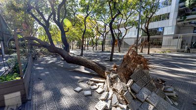 Telediario 1 en 4' - 12/02/26