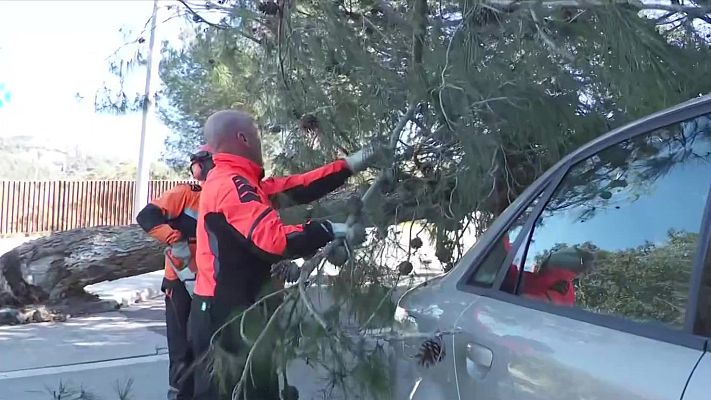 L'Informatiu - El fort vent provoca la caiguda de centenars d'arbres arreu de Catalunya