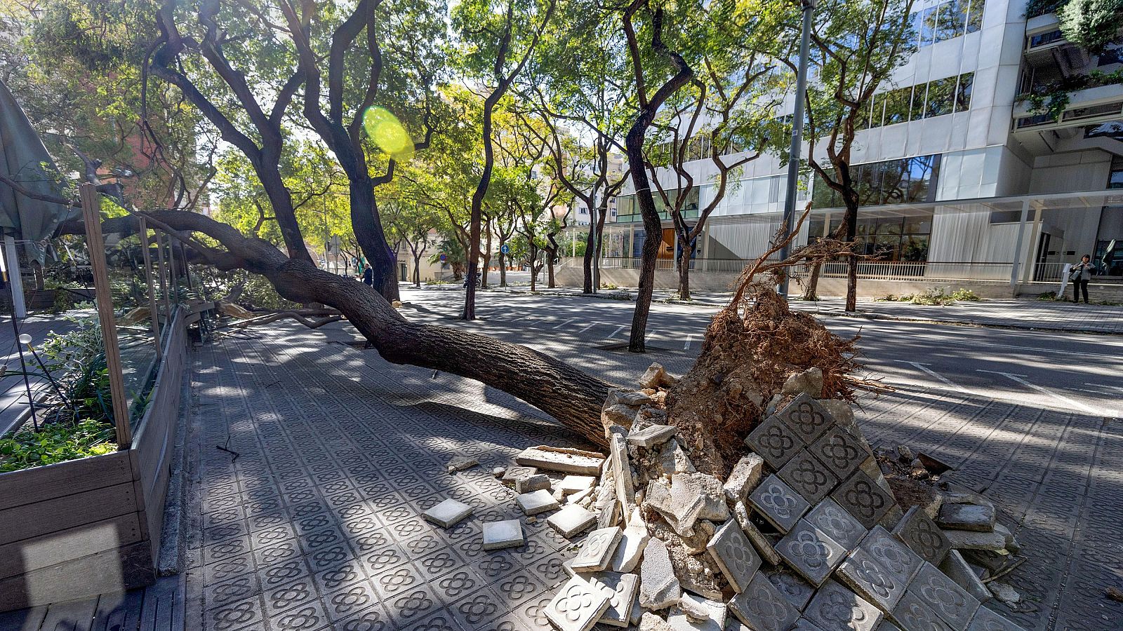 Telediario - 15 horas - 12/02/26 - Telediario 1 | Ver