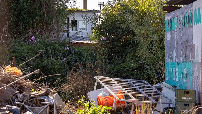 La tarde en 24h - Miguel Lorente: "Falla la idea de que la violencia de género es daño físico, cuando el objetivo es el control"