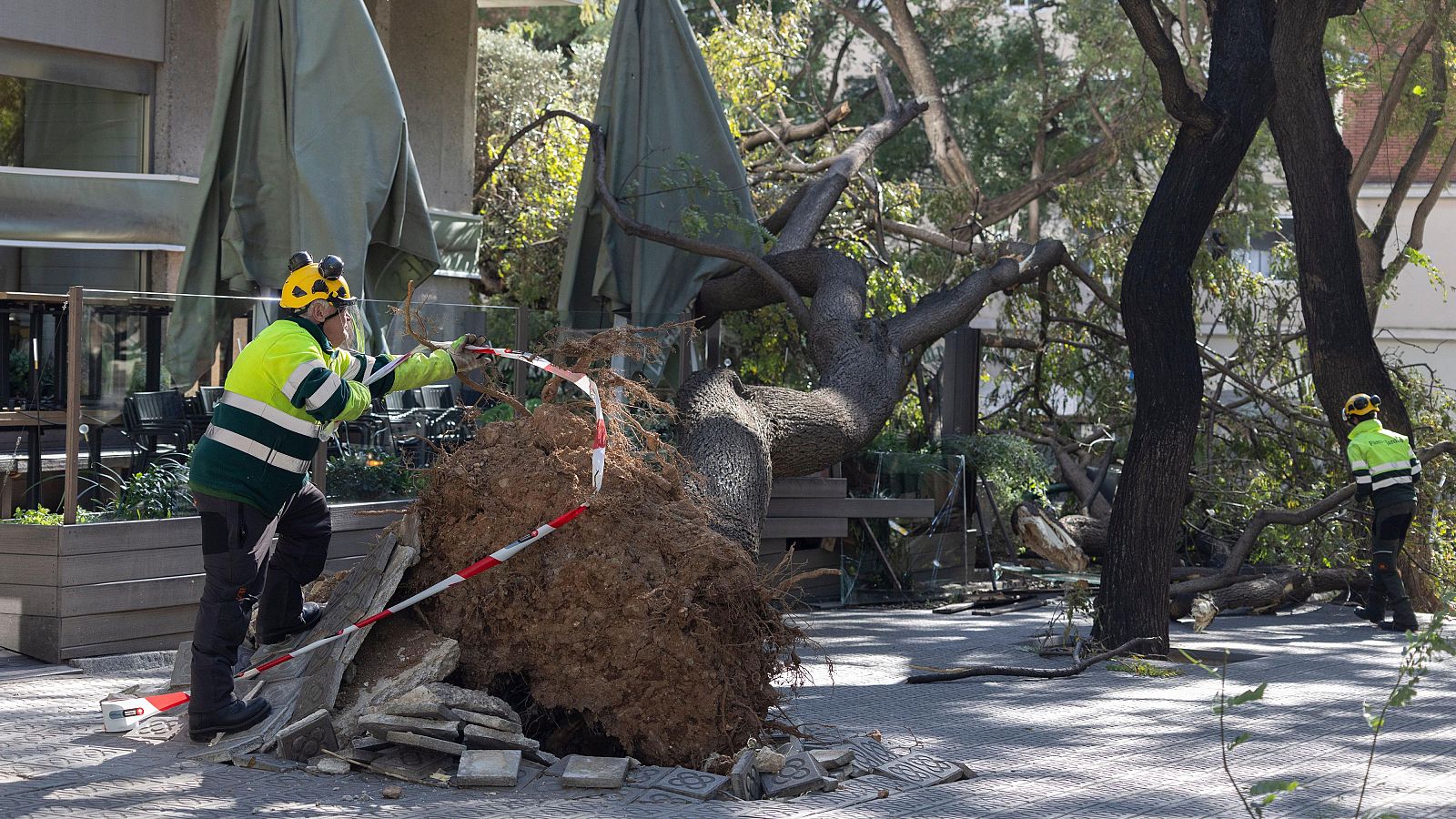 Informativo 24 horas - 20h - 12/02/26 - Informativo 24h | Ver