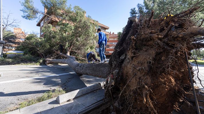 Telediario 2 - El temporal de viento deja 86 heridos en Cataluña