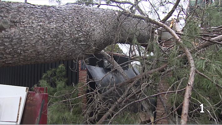 L'Informatiu - Catalunya es refà del temporal de vent i avança cap a la normalitat