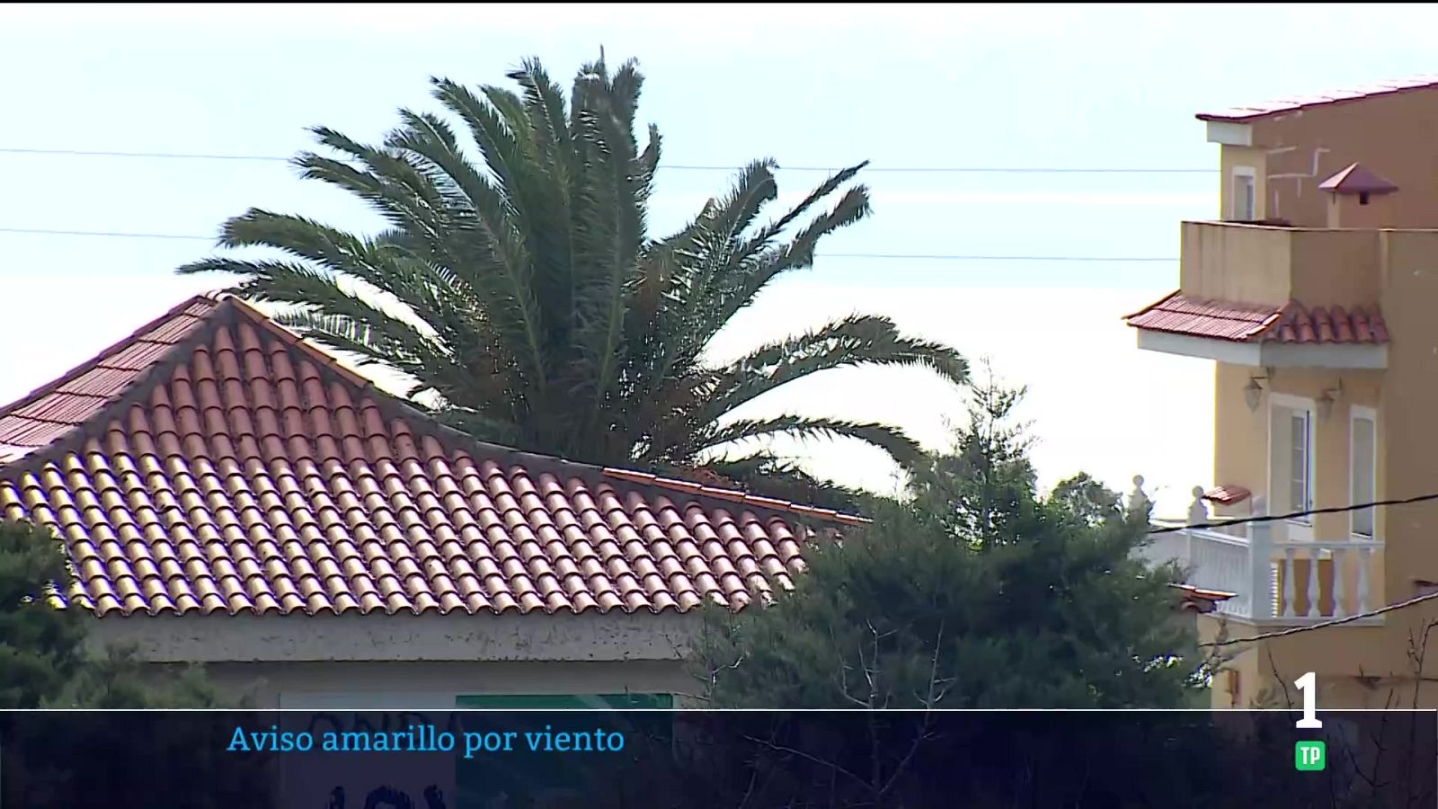 Canarias en 2' - 14/02/2026 | Ver