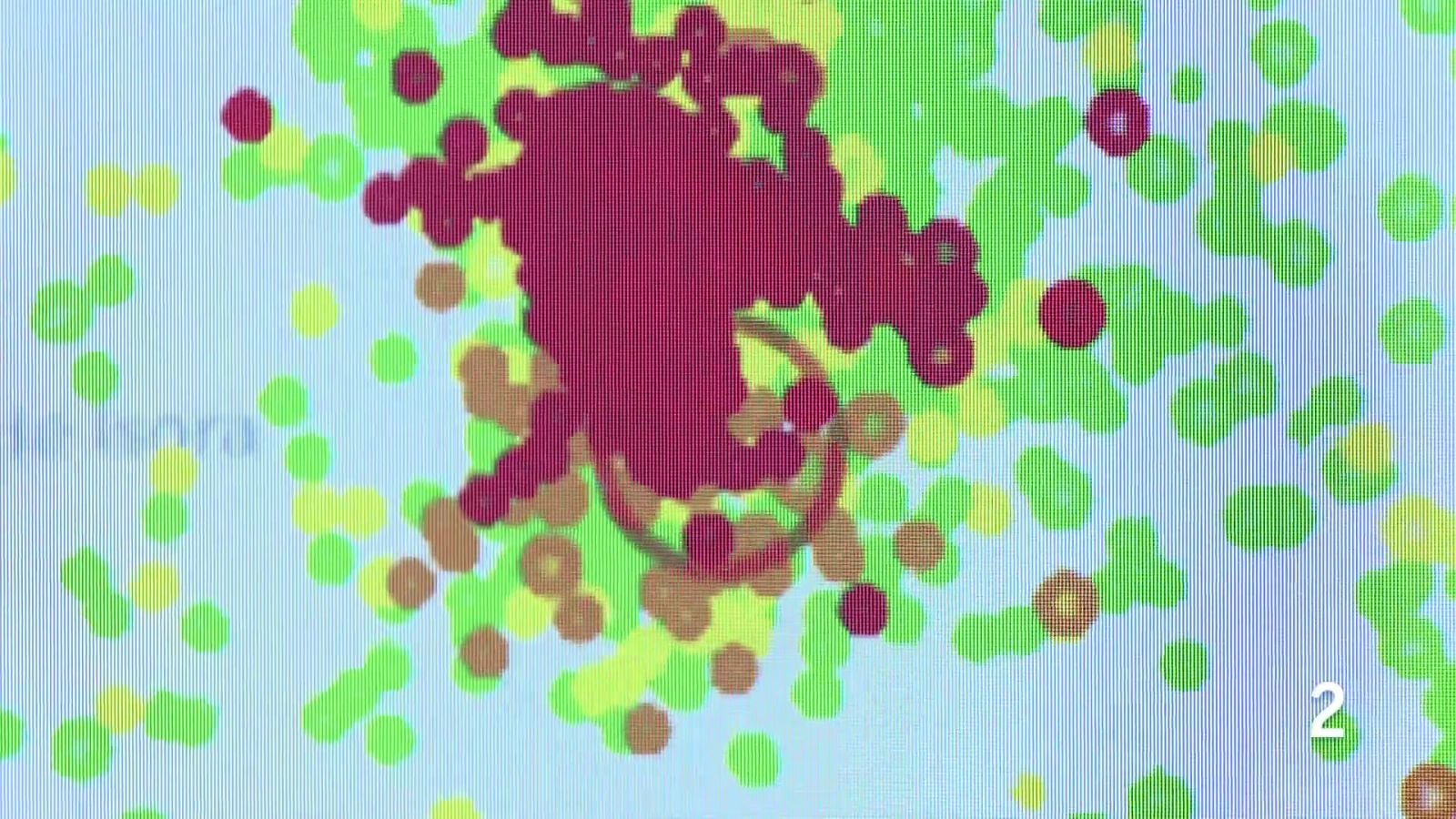 Telecanarias Tarde - 13/02/2026 | Ver