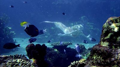 Las sirenas de Mako - Polizón - Las sirenas de Mako | Ver