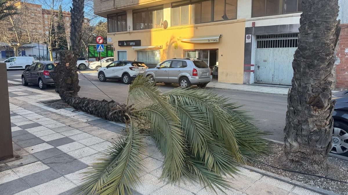 Avisos en toda Espa�a por fuertes vientos con nivel rojo en Castell�n