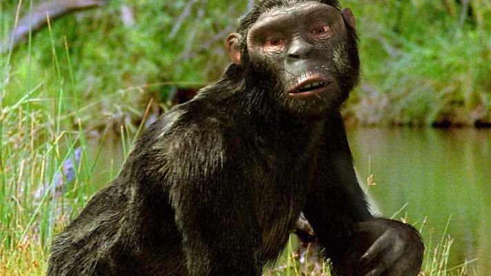 Documenta2 - La odisea de la especie: Los prehumanos