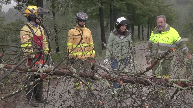 Cuidado con la lluvia, sin olvidarnos del fuego - Aquí la Tierra | Ver