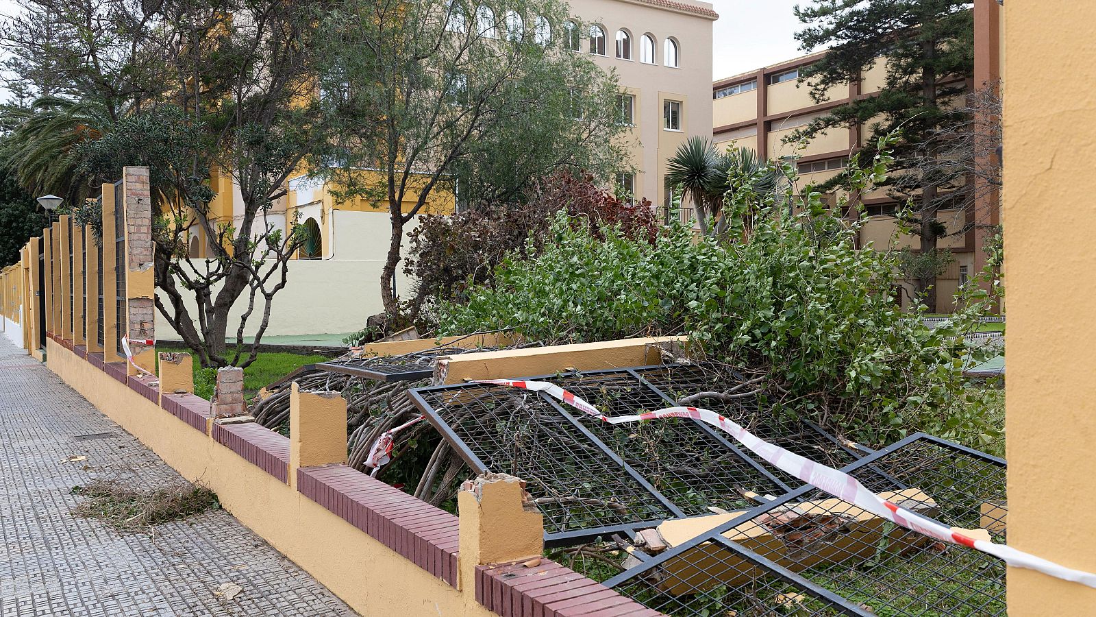 Telediario 2 en cuatro minutos 14/02/26 - RTVE.es | Ver